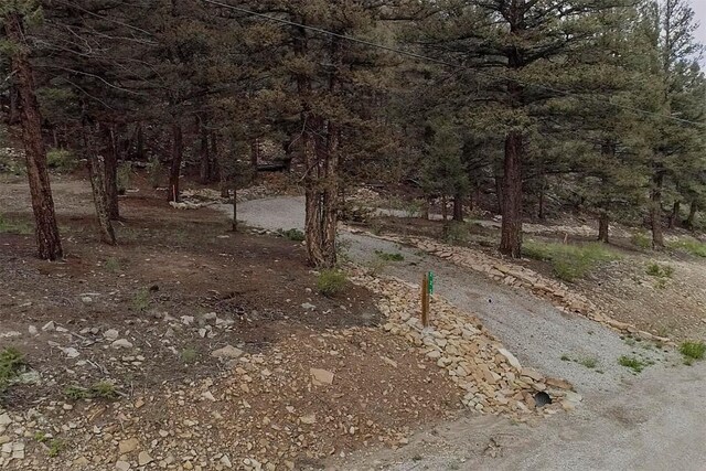 225 Trout Creek Rd, Fairplay, CO 80440 - photo 1
