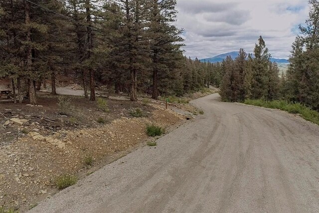 225 Trout Creek Rd, Fairplay, CO 80440 - photo 4
