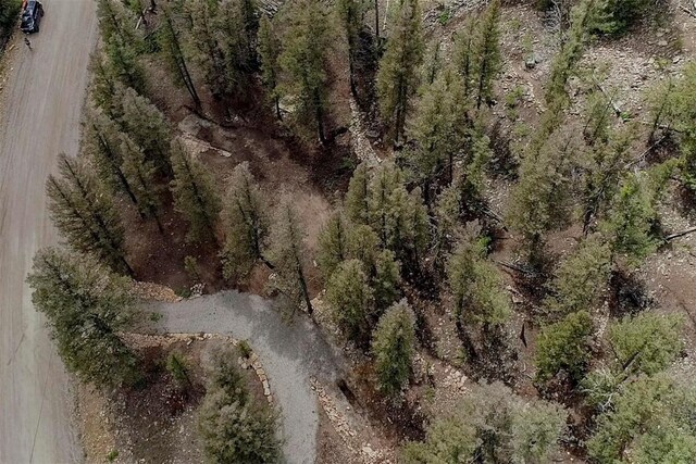225 Trout Creek Rd, Fairplay, CO 80440 - photo 3