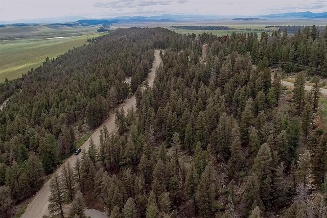 225 Trout Creek Rd, Fairplay, CO 80440 - photo 22