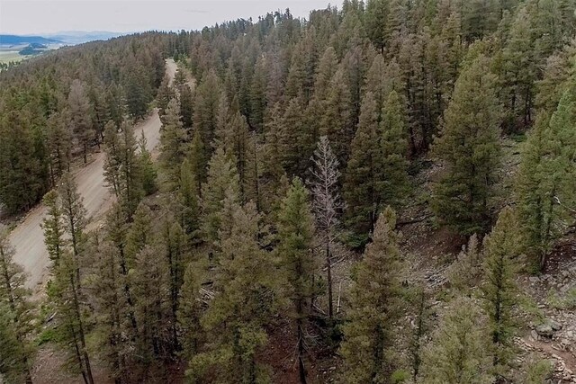 225 Trout Creek Rd, Fairplay, CO 80440 - photo 31