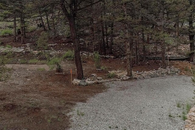 225 Trout Creek Rd, Fairplay, CO 80440 - photo 5