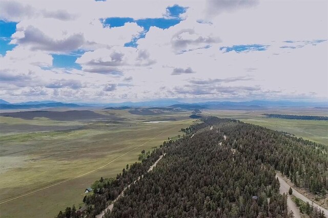 225 Trout Creek Rd, Fairplay, CO 80440 - photo 15