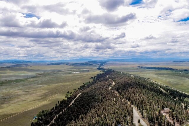 225 Trout Creek Rd, Fairplay, CO 80440 - photo 35