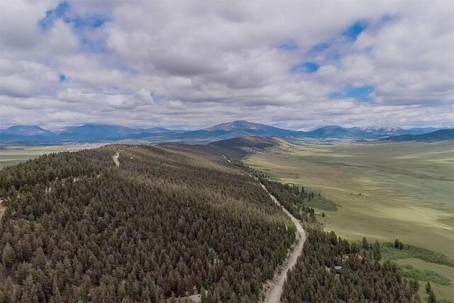 225 Trout Creek Rd, Fairplay, CO 80440 - photo 13
