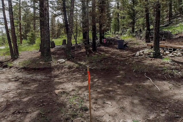 225 Trout Creek Rd, Fairplay, CO 80440 - photo 7