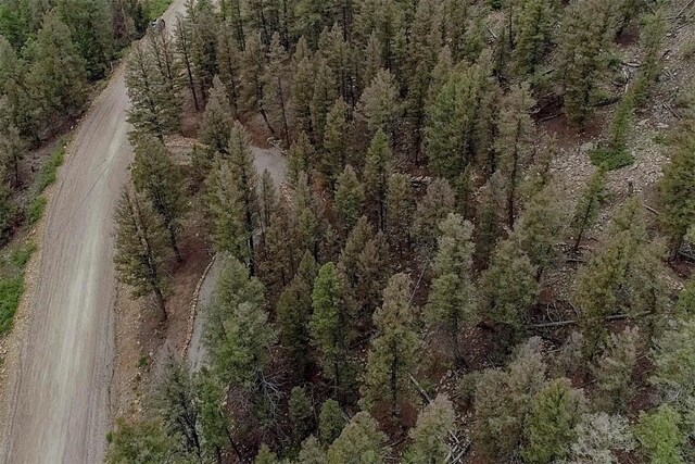 225 Trout Creek Rd, Fairplay, CO 80440 - photo 29