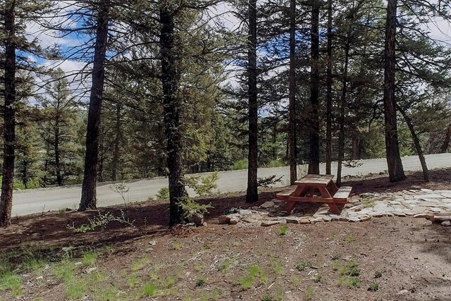 225 Trout Creek Rd, Fairplay, CO 80440 - photo 8