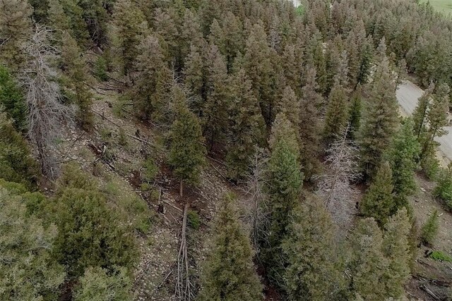 225 Trout Creek Rd, Fairplay, CO 80440 - photo 30