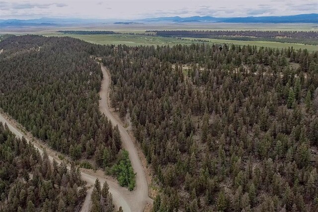 225 Trout Creek Rd, Fairplay, CO 80440 - photo 21