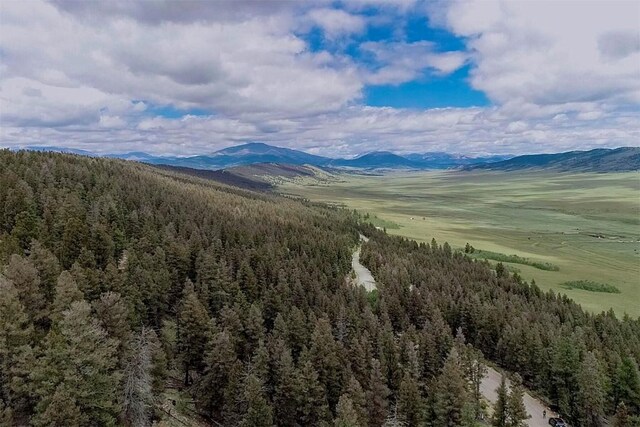225 Trout Creek Rd, Fairplay, CO 80440 - photo 17