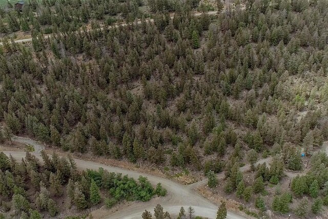 225 Trout Creek Rd, Fairplay, CO 80440 - photo 25