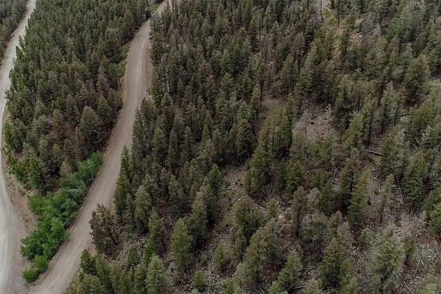 225 Trout Creek Rd, Fairplay, CO 80440 - photo 28