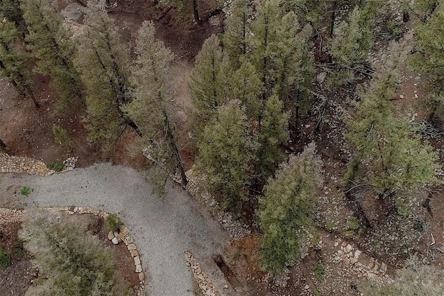 225 Trout Creek Rd, Fairplay, CO 80440 - photo 2