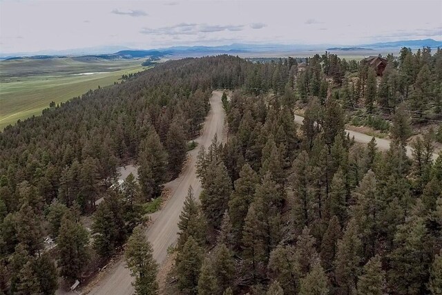 225 Trout Creek Rd, Fairplay, CO 80440 - photo 23