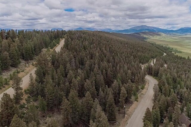 225 Trout Creek Rd, Fairplay, CO 80440 - photo 18