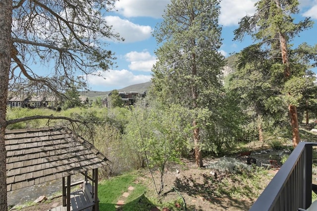 405 Creekside Dr, Frisco, CO 80443 - view of yard