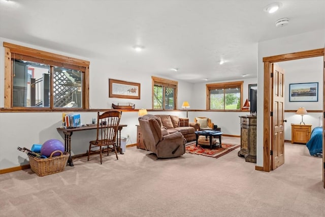 1088 Longview Cir Unit 1, Steamboat Springs, CO 80487 - living room with carpet and baseboards
