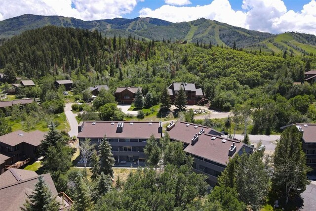 2146 Aster Pl Unit 3, Steamboat Springs, CO 80487 - aerial view of property's location featuring mountains and a forest