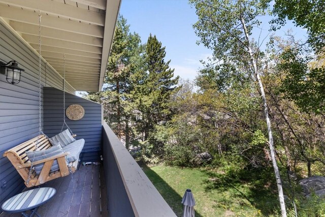 2146 Aster Pl Unit 3, Steamboat Springs, CO 80487 - view of balcony