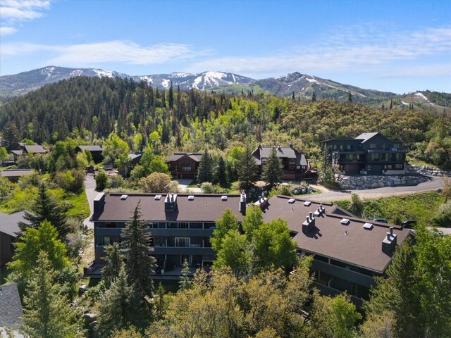 2146 Aster Pl Unit 3, Steamboat Springs, CO 80487 - aerial view of a mountain backdrop and a forest