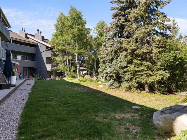 2146 Aster Pl Unit 3, Steamboat Springs, CO 80487 - view of green lawn