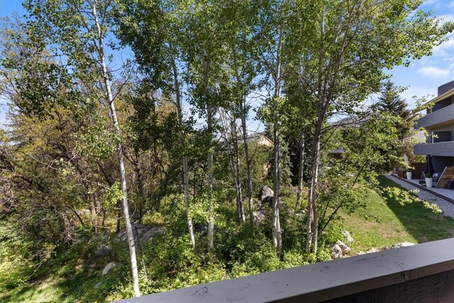 2146 Aster Pl Unit 3, Steamboat Springs, CO 80487 - view of yard