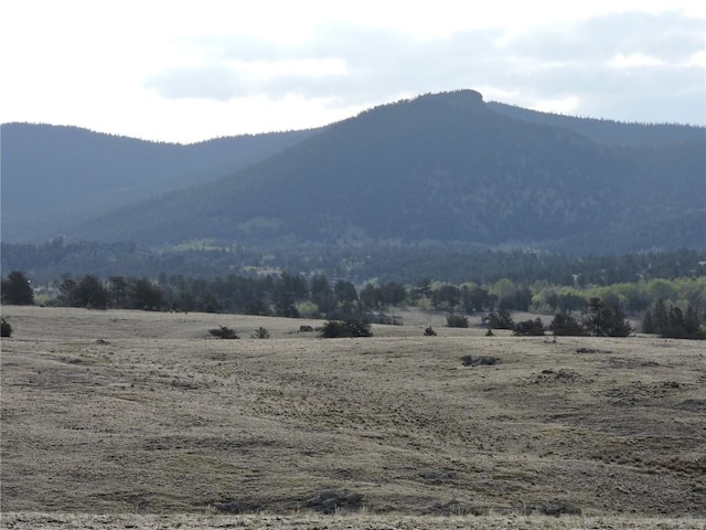 122 Bandelier Ct, Hartsel, CO 80449