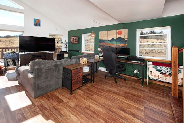 office with vaulted ceiling and wood finished floors