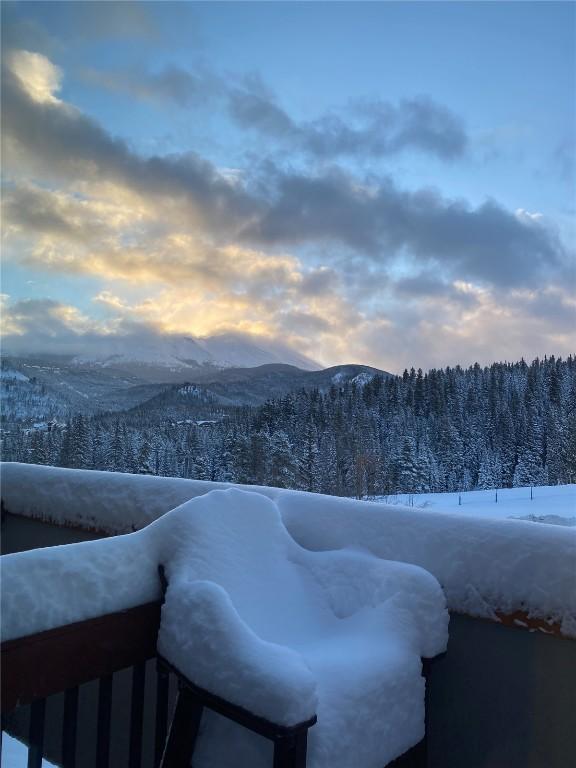 601 Village Rd # 501, Breckenridge, CO 80424 - property view of mountains with a wooded view