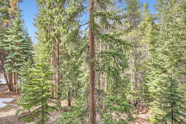 view of tree filled area
