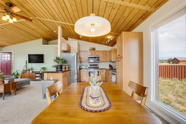 119 Bristlecone Ln, Fairplay, CO 80440 - photo 32