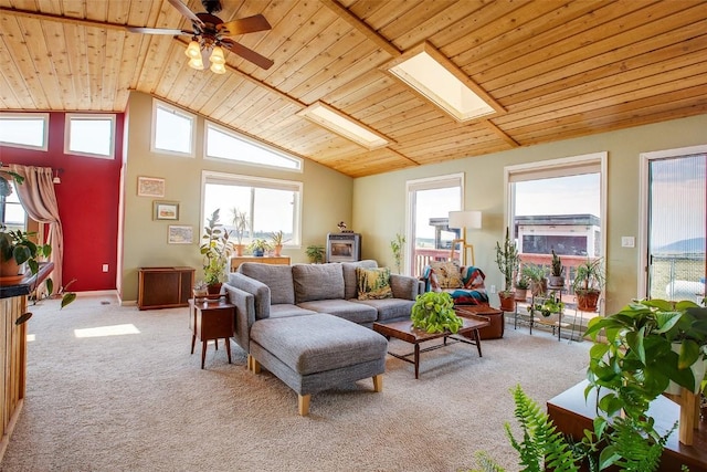 119 Bristlecone Ln, Fairplay, CO 80440 - photo 7