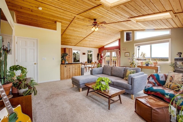 119 Bristlecone Ln, Fairplay, CO 80440 - photo 31