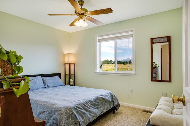 119 Bristlecone Ln, Fairplay, CO 80440 - photo 12