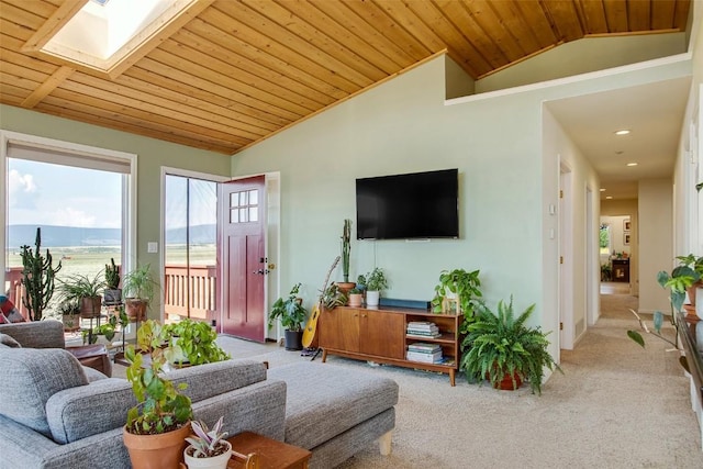 119 Bristlecone Ln, Fairplay, CO 80440 - photo 5