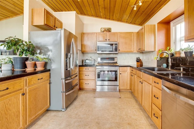 119 Bristlecone Ln, Fairplay, CO 80440 - photo 37