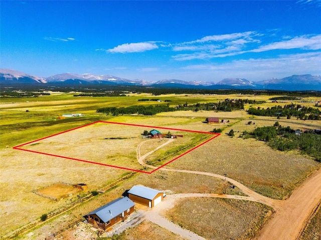 119 Bristlecone Ln, Fairplay, CO 80440 - photo 28
