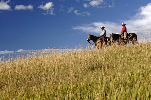 41855 Marabou Loop, Steamboat Springs, CO 80487