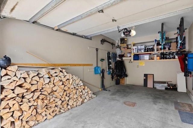 1675 Ranch Rd Unit 410, Steamboat Springs, CO 80487 - garage featuring a garage door opener