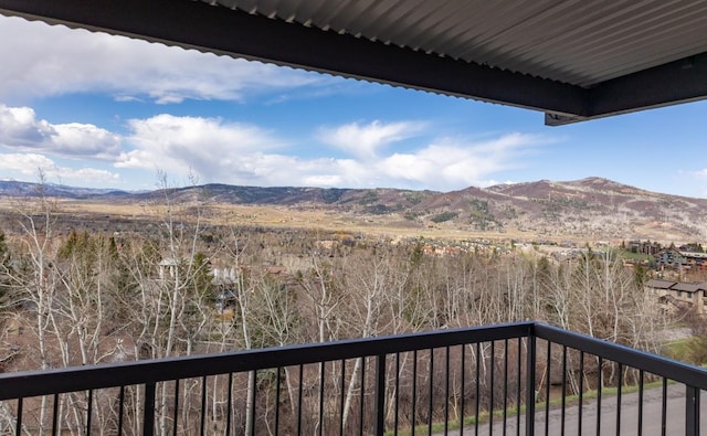 2626 Longthong Rd Unit 203, Steamboat Springs, CO 80487 - mountain view