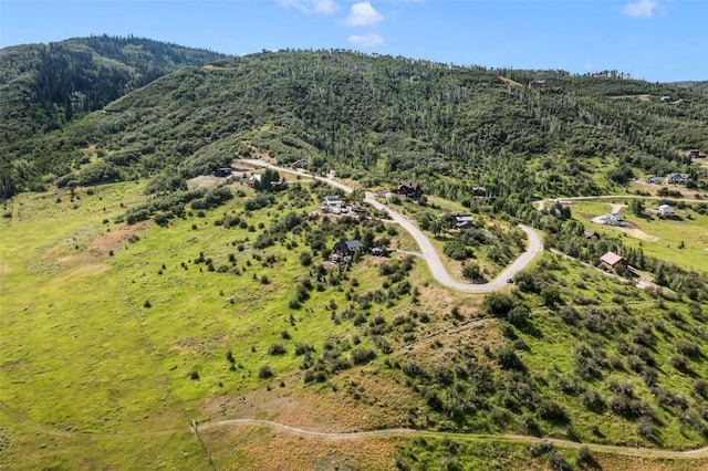 34670 Country Green Rd, Steamboat Springs, CO 80487