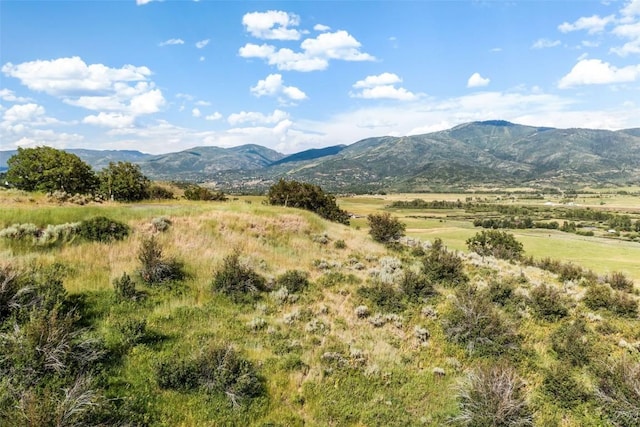 34670 Country Green Rd, Steamboat Springs, CO 80487