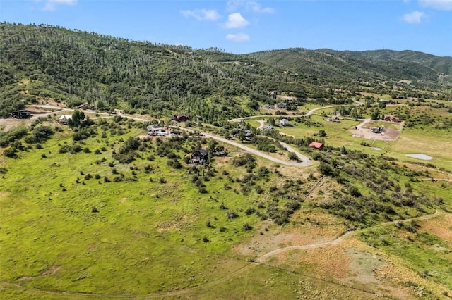 34670 Country Green Rd, Steamboat Springs, CO 80487