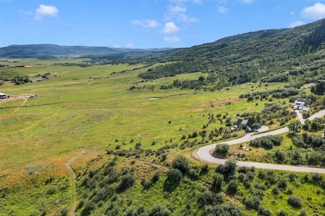 34670 Country Green Rd, Steamboat Springs, CO 80487