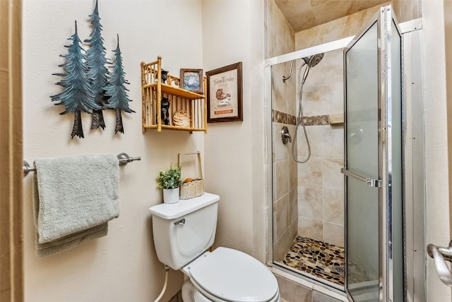 bathroom featuring toilet and a stall shower