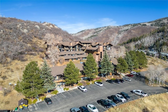 31500 Runaway Pl Unit 409, Steamboat Springs, CO 80487 - photo 26