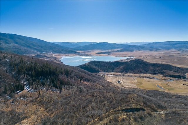 31500 Runaway Pl Unit 409, Steamboat Springs, CO 80487 - photo 29