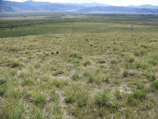 1327 Michigan Hill Rd, Jefferson, CO 80456
