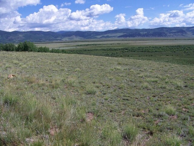 1327 Michigan Hill Rd, Jefferson, CO 80456